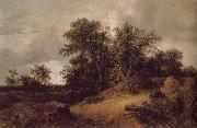 Jacob van Ruisdael Dune Landfscape Sweden oil painting artist